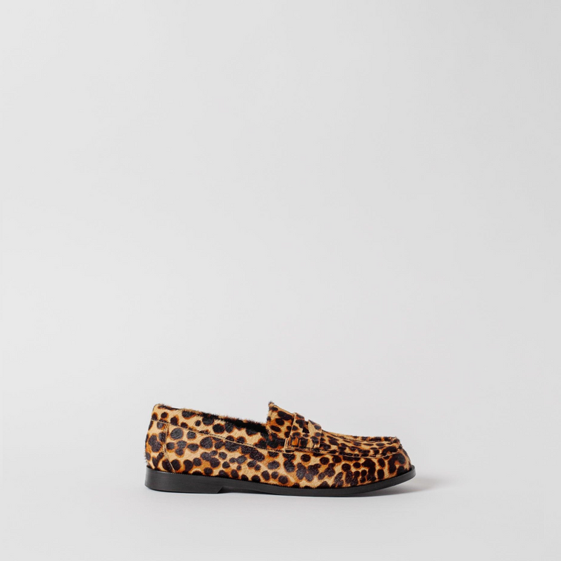 THE CELESTE LEOPARD