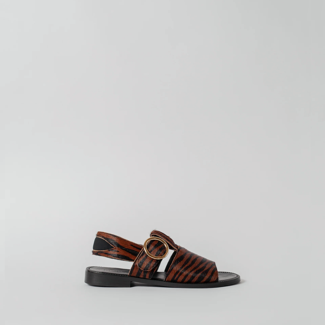 THE PALERMO RUST ZEBRA