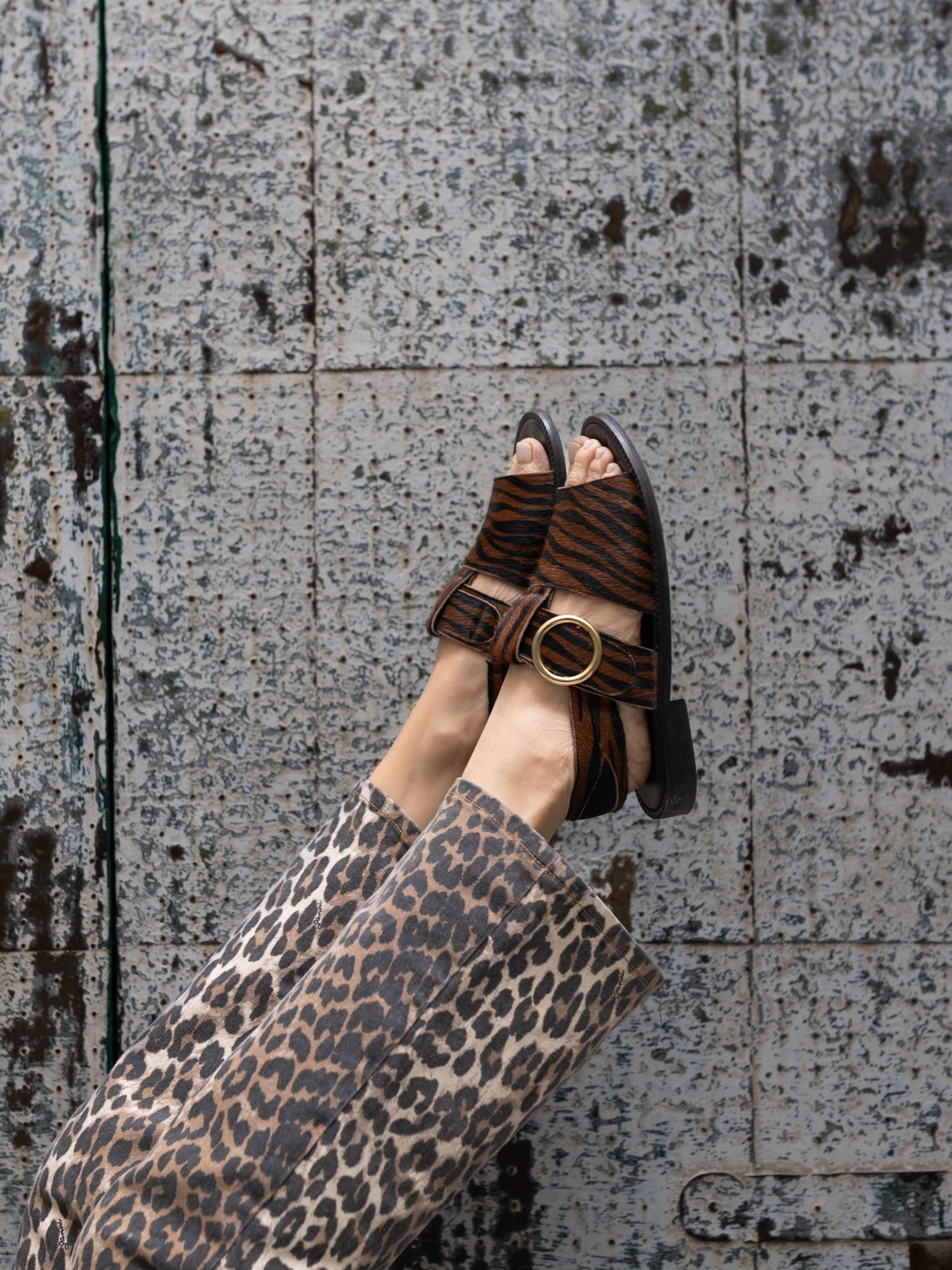 THE PALERMO RUST ZEBRA
