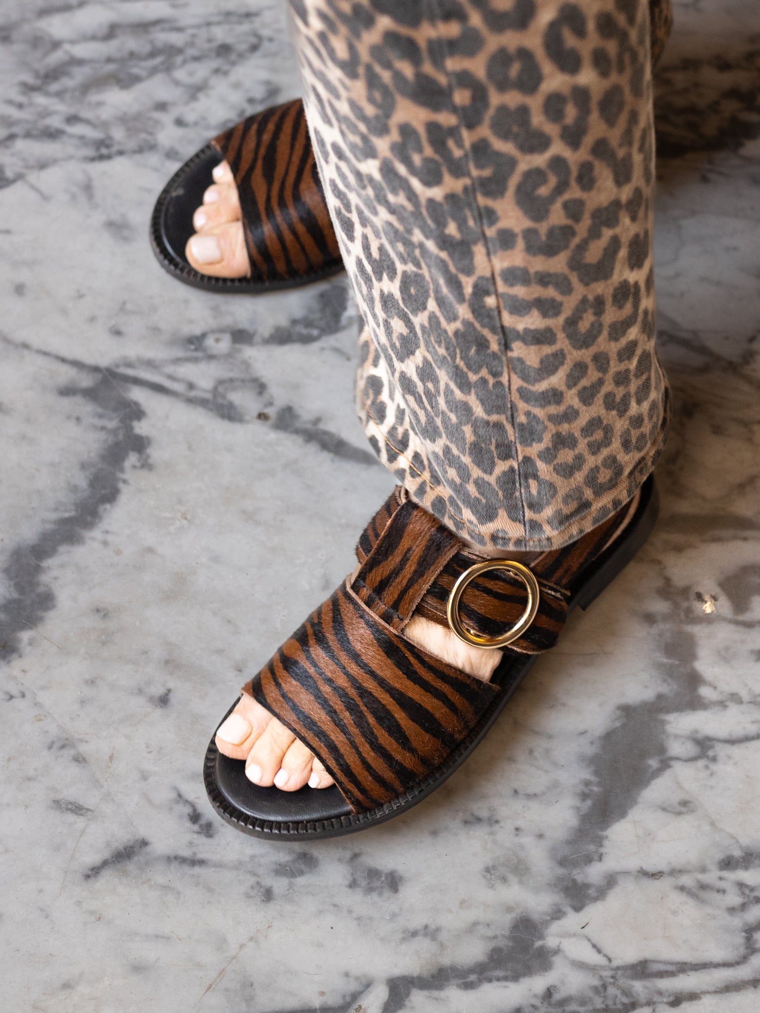 THE PALERMO RUST ZEBRA